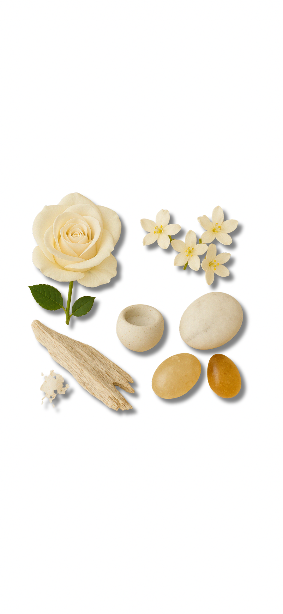 NR:141 White Musk
